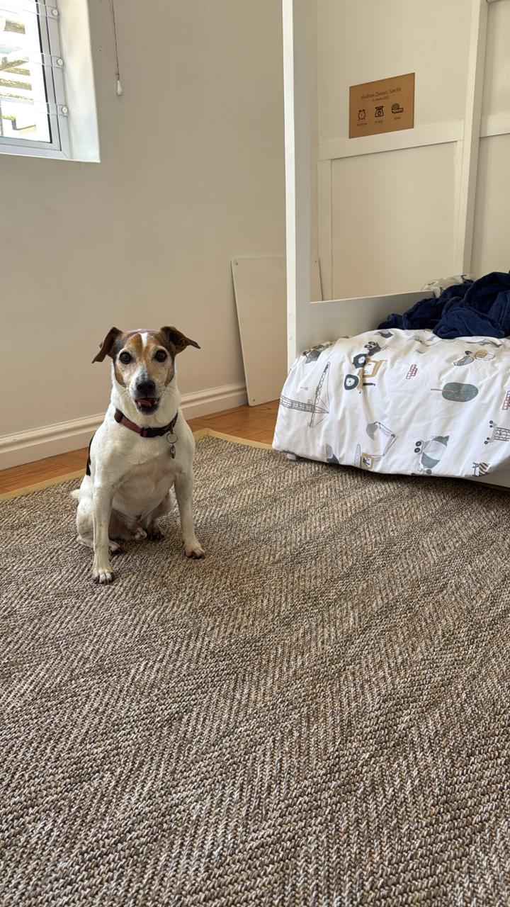 carpeting